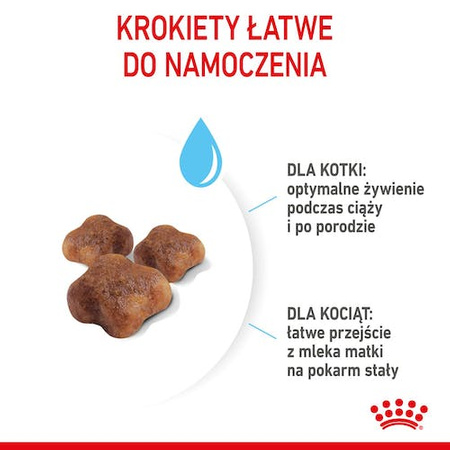 Royal Canin Mother&Babycat karma sucha dla kotek w okresie ciąży, laktacji i kociąt od 1 do 4 miesiąca 2kg