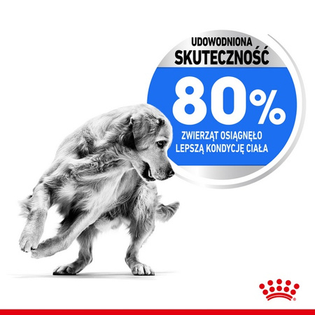 Royal Canin Medium Light Weight Care karma sucha dla psów dorosłych, ras średnich tendencją do nadwagi 3kg