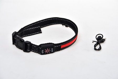 PETLOVE Obroża LED USB STANDARD L Red szer. 25 mm; dł. 45-63 cm