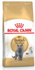 Royal Canin British Shorthair Adult karma sucha dla kotów dorosłych rasy brytyjski krótkowłosy 4kg