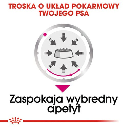 Royal Canin Exigent karma mokra dla wybrednych psów dorosłych, wszystkich ras, pasztet saszetka 85g