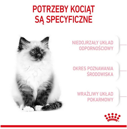 Royal Canin Kitten karma sucha dla kociąt od 4 do 12 miesiąca życia 4kg