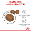 Royal Canin Dental Care karma sucha dla kotów dorosłych, redukująca odkładanie kamienia nazębnego 1,5kg