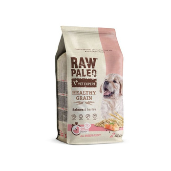 Raw Paleo Healthy Grain Salmon Barley Puppy 10kg