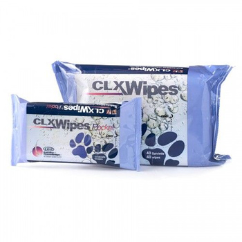 Clorexyderm WIPES 20 sztuk bakterio i grzybobójczym