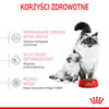 Royal Canin Mother&Babycat karma sucha dla kotek w okresie ciąży, laktacji i kociąt od 1 do 4 miesiąca 2kg