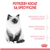 Royal Canin Kitten karma sucha dla kociąt od 4 do 12 miesiąca życia 2kg