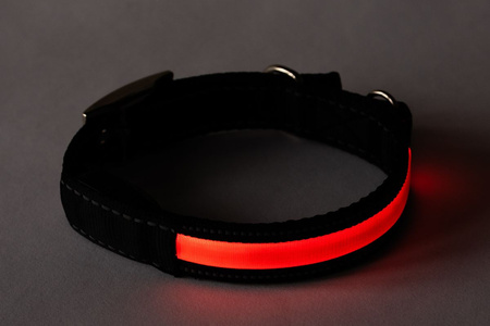 PETLOVE Obroża LED USB STANDARD L Red szer. 25 mm; dł. 45-63 cm