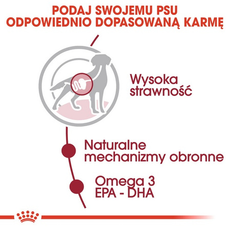 Royal Canin Medium Adult karma mokra w sosie dla psów dorosłych, ras średnich saszetika 140g