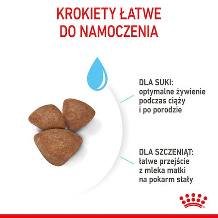 Royal Canin Mini Starter Mother&Babydog karma sucha dla szczeniąt do 2 miesiąca i suk karmiących ras małych 8kg