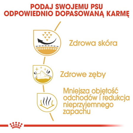 Royal Canin Shih Tzu Adult karma sucha dla psów dorosłych rasy shih tzu 1,5kg