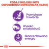 Royal Canin Sensible karma sucha dla kotów dorosłych, o wrażliwym przewodzie pokarmowym 2kg