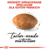 Royal Canin Persian Adult karma sucha dla kotów dorosłych rasy perskiej 400g