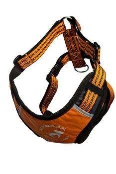 ALL FOR DOGS SZELKI SPORTOWE XS POMAR. 34-54cm