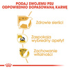 Royal Canin Yorkshire Terrier Adult karma sucha dla psów dorosłych rasy yorkshire terrier 0,5kg