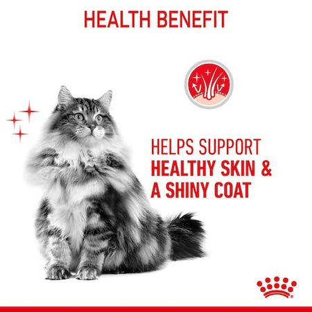 Royal Canin Hair&Skin Care karma sucha dla kotów dorosłych, lśniąca sierść i zdrowa skóra 400g