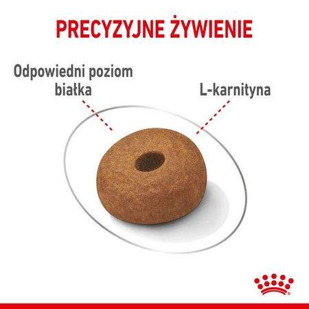 Royal Canin Maxi Light Weight Care karma sucha dla psów dorosłych, ras dużych z tendencją do nadwagi 12kg