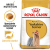 Royal Canin Yorkshire Terrier Adult karma sucha dla psów dorosłych rasy yorkshire terrier 0,5kg