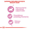 Royal Canin Kitten karma sucha dla kociąt od 4 do 12 miesiąca życia 10kg