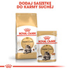 Royal Canin Maine Coon karma mokra w sosie dla kotów dorosłych rasy maine coon saszetka 85g