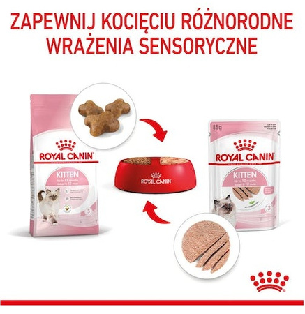 Royal Canin Kitten pasztet (loaf) karma mokra dla kociąt do 12 miesiąca życia saszetka 85g