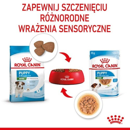 Royal Canin Mini Puppy karma mokra w sosie dla szczeniąt, od 2 do 10 miesiąca życia, ras małych saszetka 85g