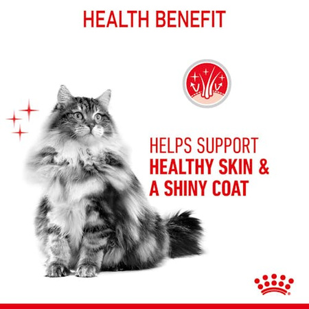 Royal Canin Hair & Skin Care w sosie  karma mokra dla kotów dorosłych, zdrowa skóra, piękna sierść saszetka 85g