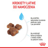 Royal Canin Mother&Babycat karma sucha dla kotek w okresie ciąży, laktacji i kociąt od 1 do 4 miesiąca 2kg