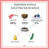 Karma mokra dla psa PUPIL Premium All Meat GOLD comber jagnięcy 400 g