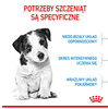 Royal Canin Mini Puppy karma sucha dla szczeniąt, od 2 do 10 miesiąca życia, ras małych 8kg