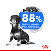 Royal Canin Mini Light Weight Care karma sucha dla psów dorosłych, ras małych z tendencją do nadwagi 1kg