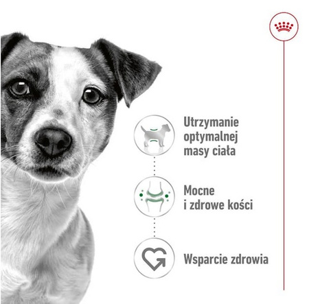 Royal Canin Mini Adult karma sucha dla psów dorosłych, ras małych 8kg