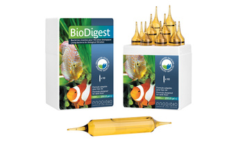 PRODIBIO Biodigest PRO 10 ampułek