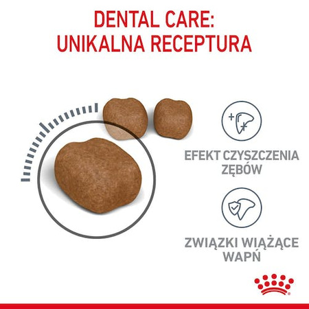 Royal Canin Dental Care karma sucha dla kotów dorosłych, redukująca odkładanie kamienia nazębnego 1,5kg