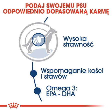 Royal Canin Maxi Adult karma mokra w sosie dla psów dorosłych, do 5 roku życia, ras dużych saszetka 140g