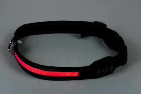 PETLOVE Obroża LED USB STANDARD L Red szer. 25 mm; dł. 45-63 cm