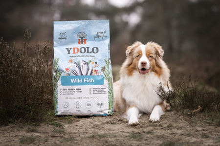 YDOLO Wild Fish - ryby morskie - karma półwilgotna dla psa (10kg)