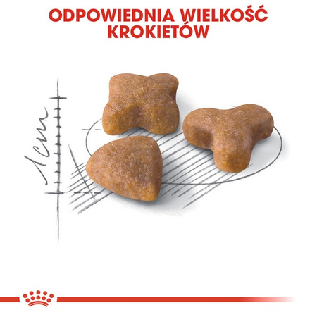 Royal Canin Sensible karma sucha dla kotów dorosłych, o wrażliwym przewodzie pokarmowym 2kg