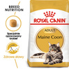 Royal Canin Maine Coon Adult karma sucha dla kotów dorosłych rasy maine coon 4kg