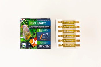 PRODIBIO BioDigest 30 ampułek