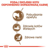 Royal Canin Ageing +12 karma sucha dla kotów dojrzałych 4kg