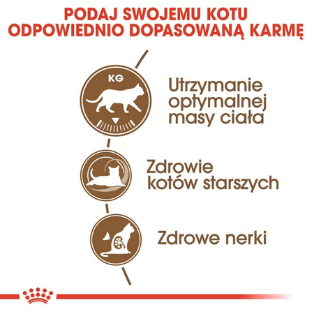 Royal Canin Ageing +12 Sterilised karma sucha dla kotów dojrzałych, sterylizowanych 4kg