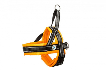 ALL FOR DOGS SZELKI NORWESKIE 40 POMAR. 47-55cm