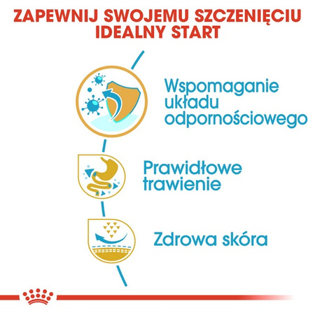 Royal Canin French Bulldog Puppy karma sucha dla szczeniąt do 12 miesiąca, rasy buldog francuski 1kg