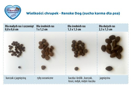 Renske Adult Dog fresh chicken - świeży kurczak dla dorosłych psów (bez zbóż) 2 kg