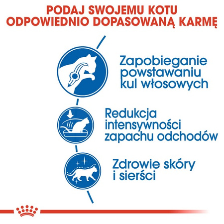 Royal Canin Indoor Long Hair karma sucha dla kotów dorosłych, długowłose, przebywających wyłącznie w domu 400g