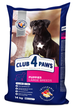 CLUB4Ł PIES 14kg PUPPY LARGE