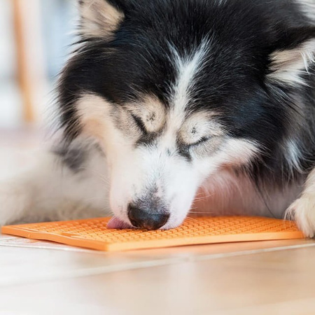 LickiMat Buddy Large Krzyżyk miękki pomarańczowy