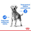 Royal Canin Medium Light Weight Care karma sucha dla psów dorosłych, ras średnich tendencją do nadwagi 12kg