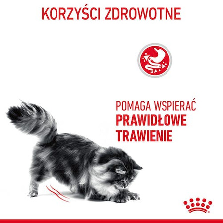 Royal Canin Digestive Care karma sucha dla kotów dorosłych, wspomagająca przebieg trawienia 400g